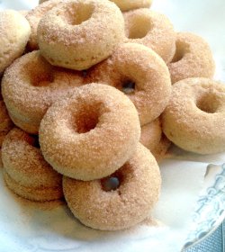 Cinnamon-Sugar Baked Doughnuts