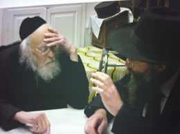 Rabbi Hillel Weinberg with Rav Elyashiv, zt”l