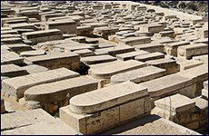 Page 98 | Aish.com