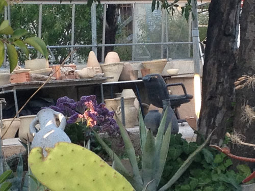 Some Israeli stores sell strange merchandise