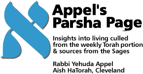 Appel's Parsha Page