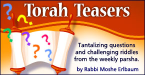 Torah Teasers