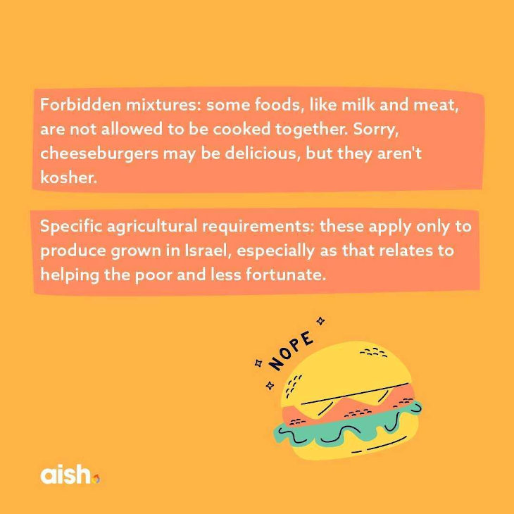 What Does Kosher Mean? Aish