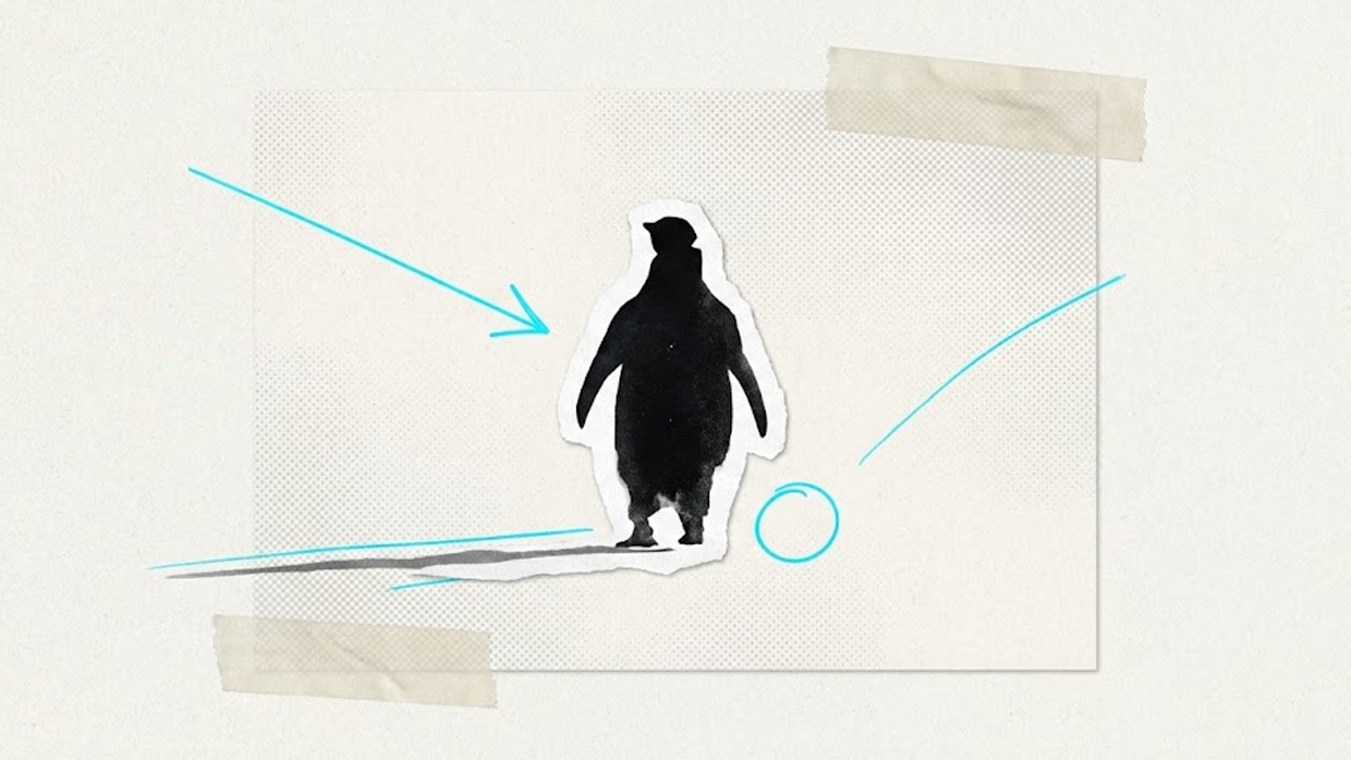 The Penguin Who Walked Away | Aish