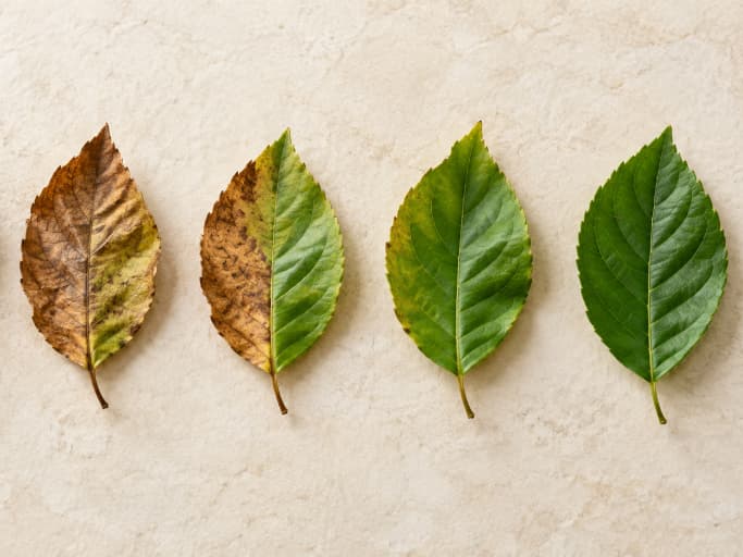 A 5-Step Framework for Getting to Know Yourself